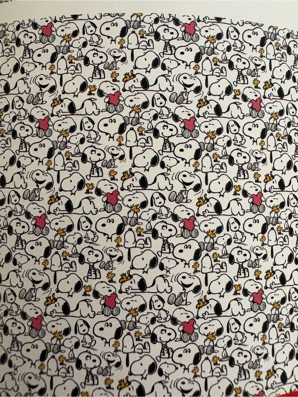 Peanuts VelvetLoft Throw - Picture 2 of 3